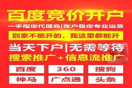 搜索引擎营销新纪元：SEM开户案例集锦